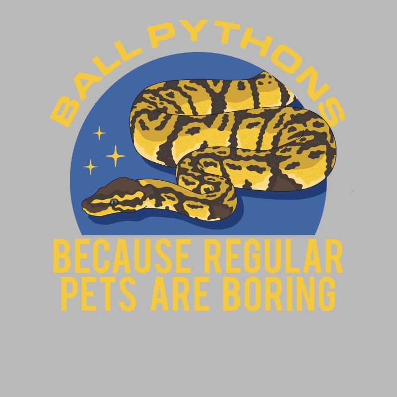 Königspython Schlangen Python Geschenk