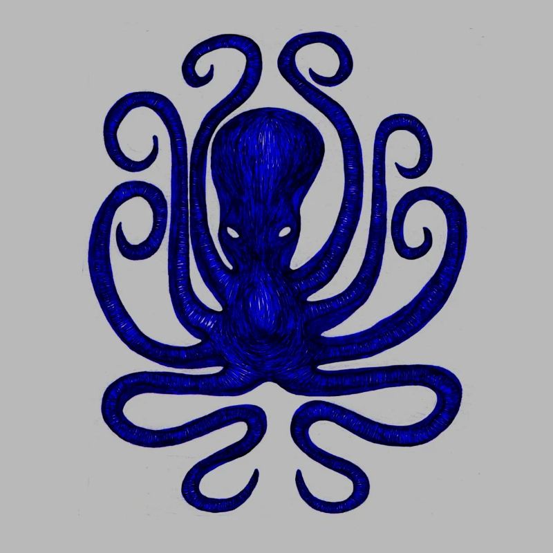 Squid - Octopus