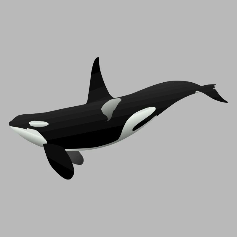 Orca