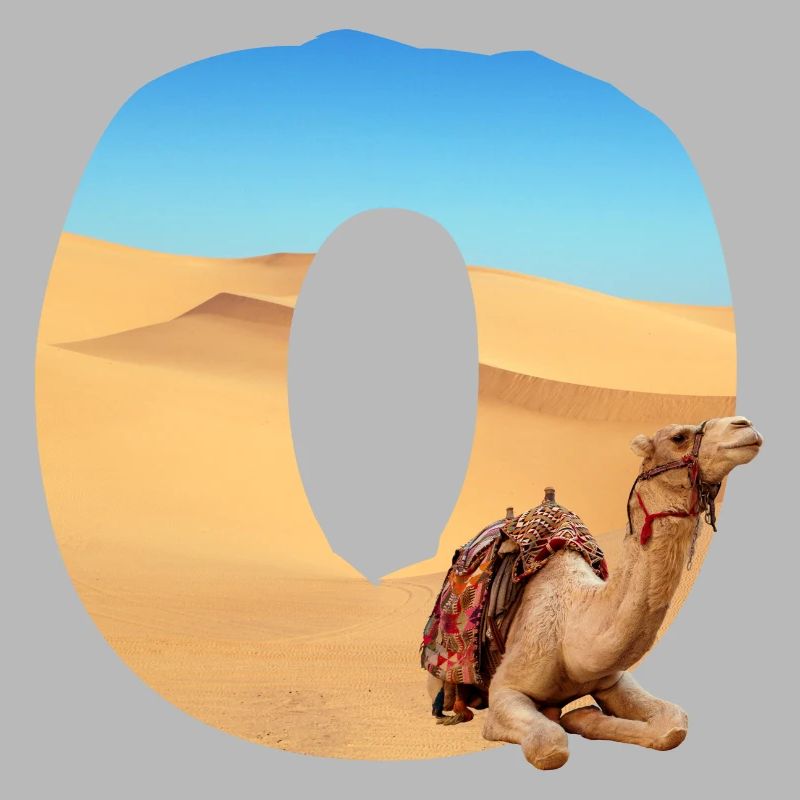 désert avec kamel o
