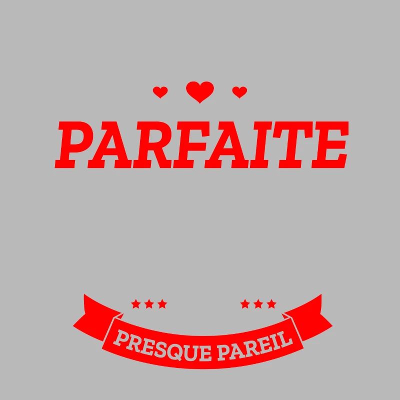 COMMANDANTE DE BORD PARFAITE