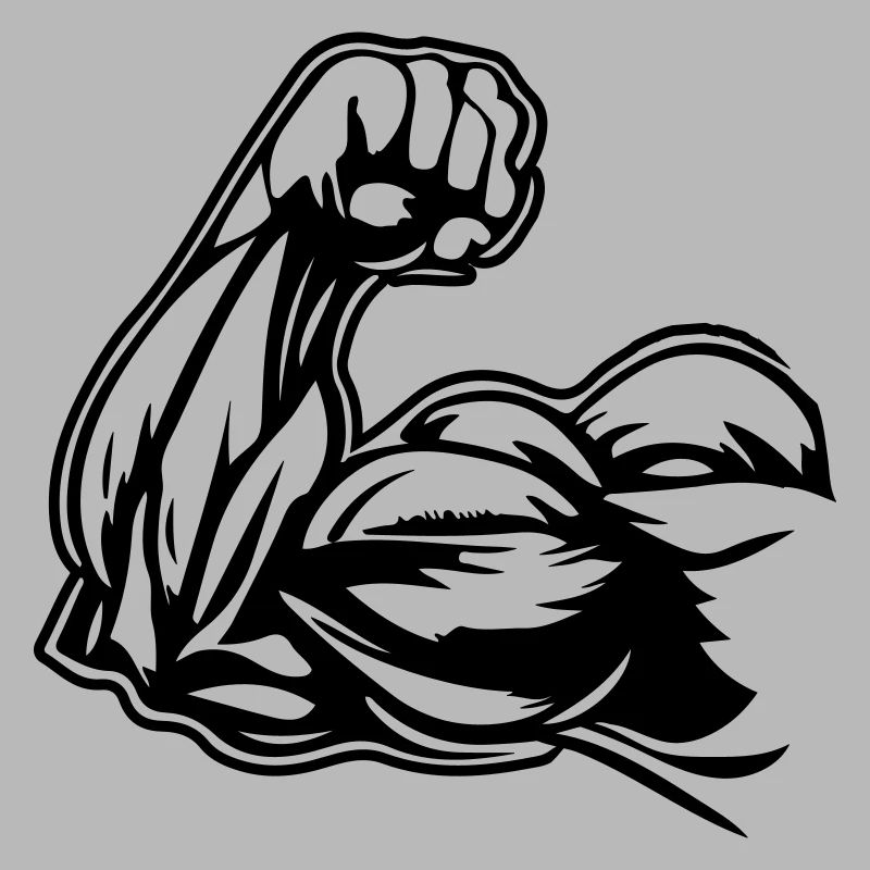 Muscles du bras biceps