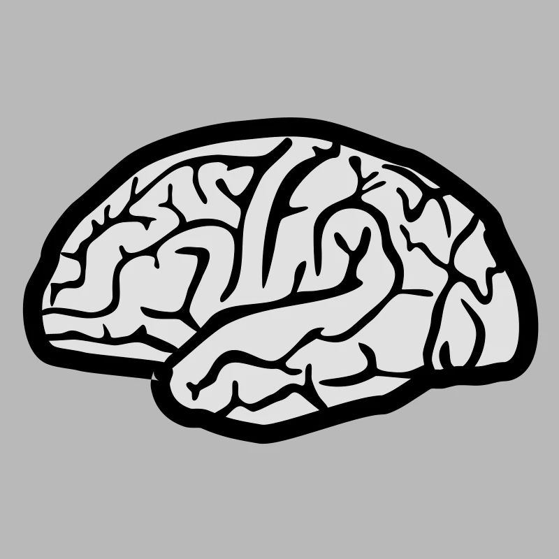 Brain, Brains