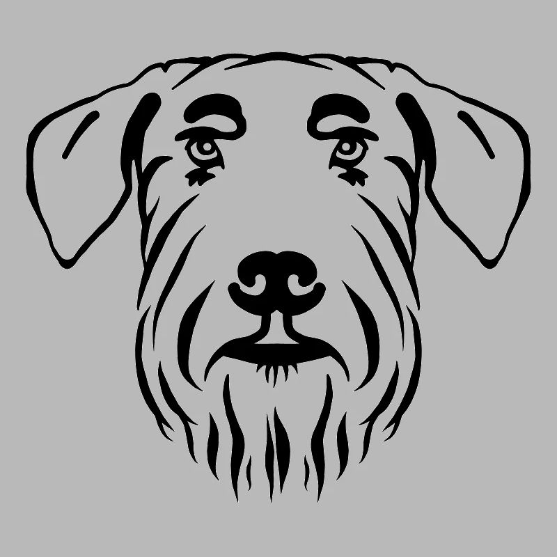 Schnauzer géant