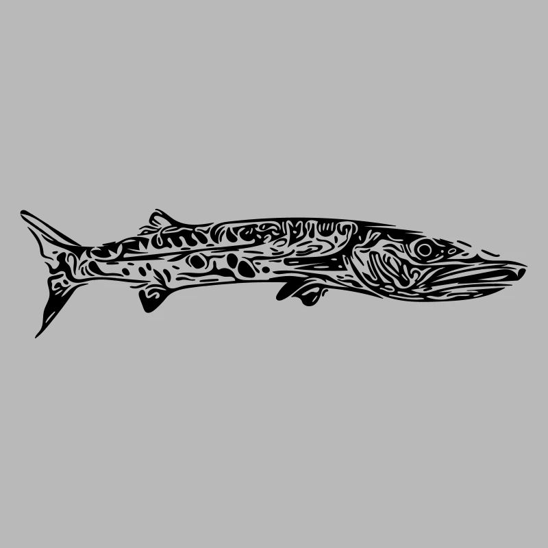 barracuda