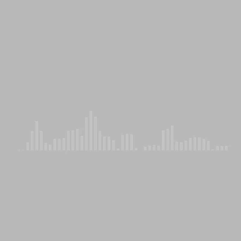 Visualizer