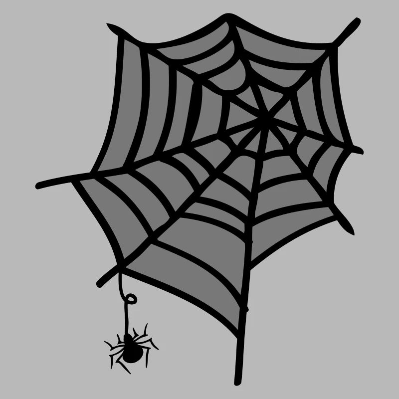 Spider web insect