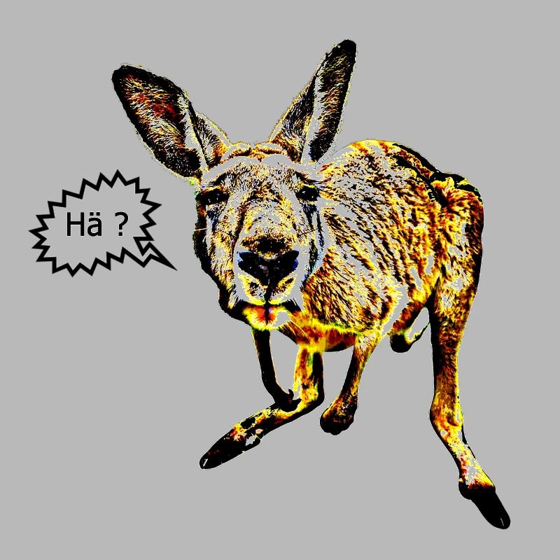 Kangaroo