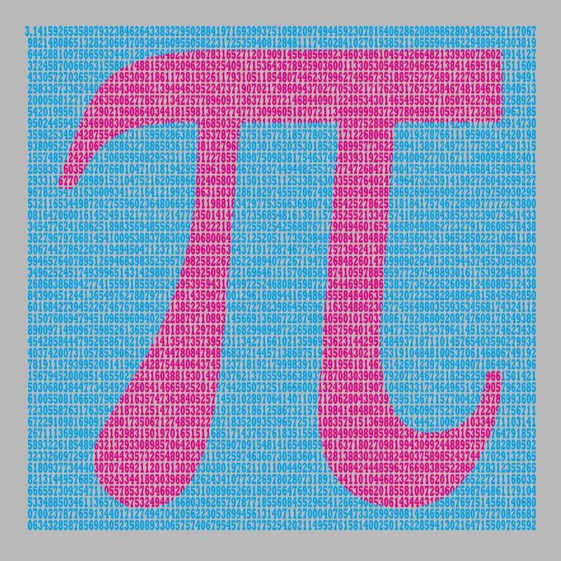 Pi Number