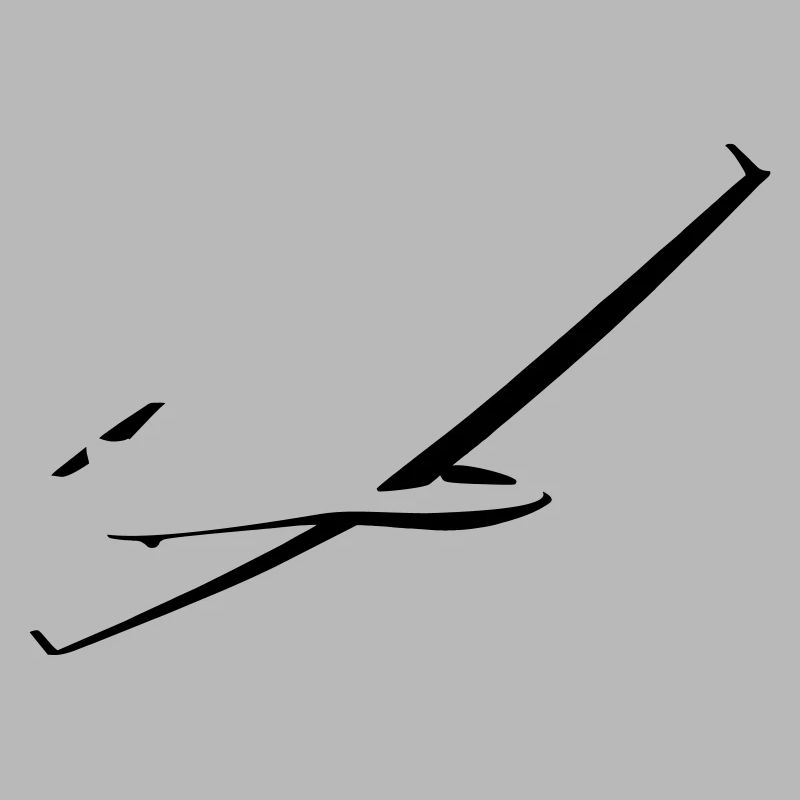 Glider glider flying glider pilot pilot