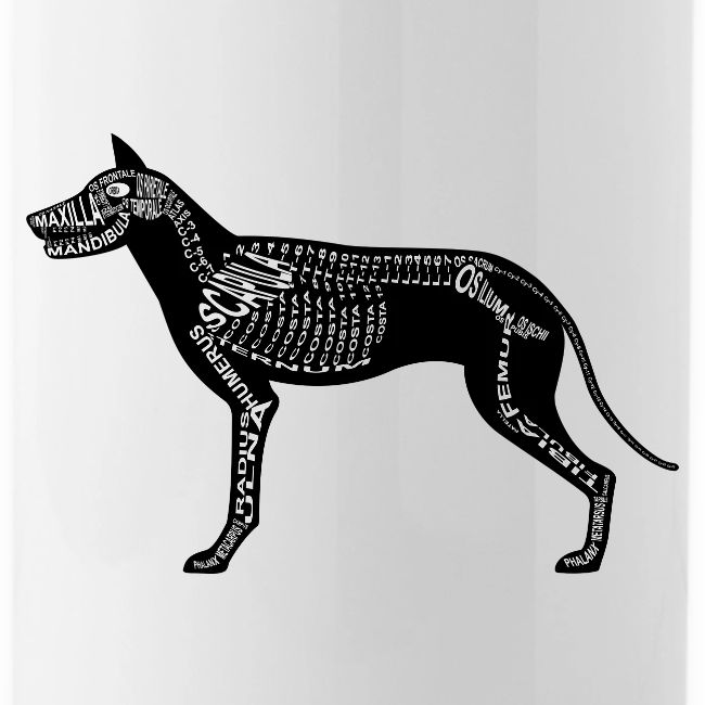 squelette de chien