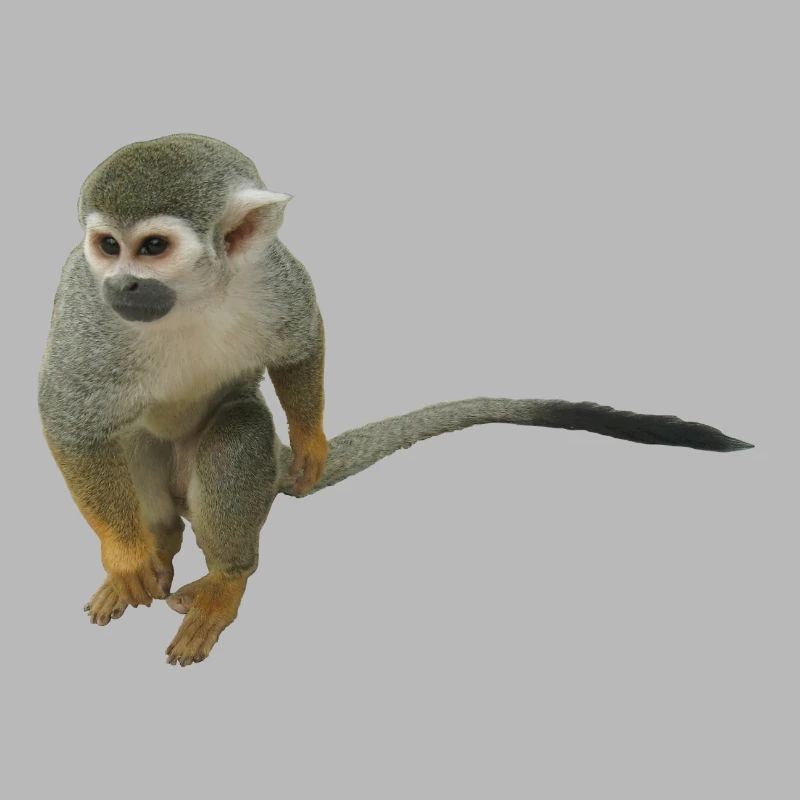 singe