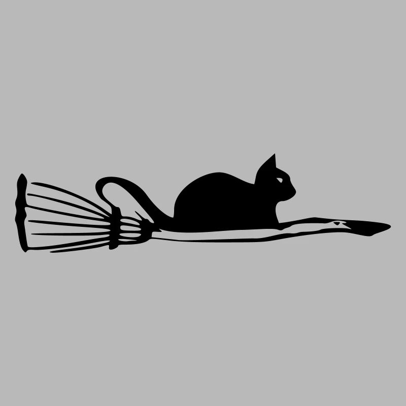 Chat avec balai