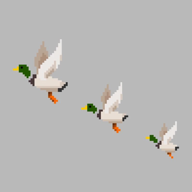 Flying Ducks