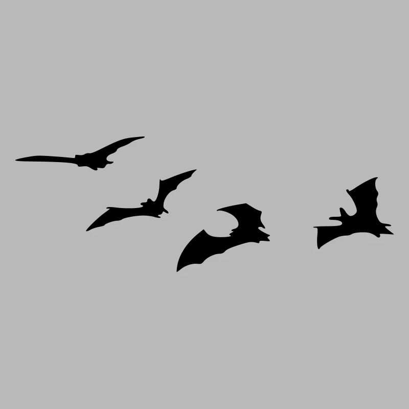 Fledermaus - Fledermäuse