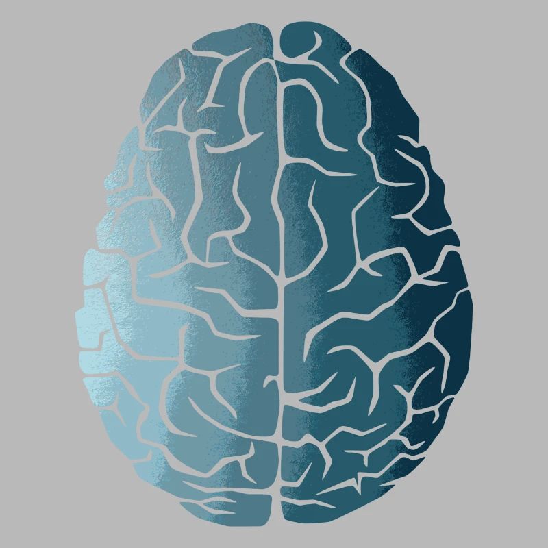 Brain course
