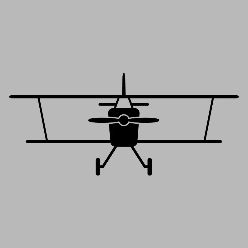 Fly a plane
