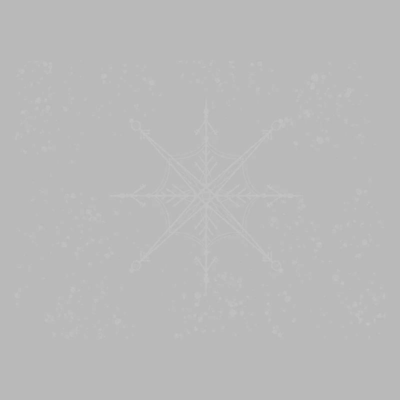 Snowflake