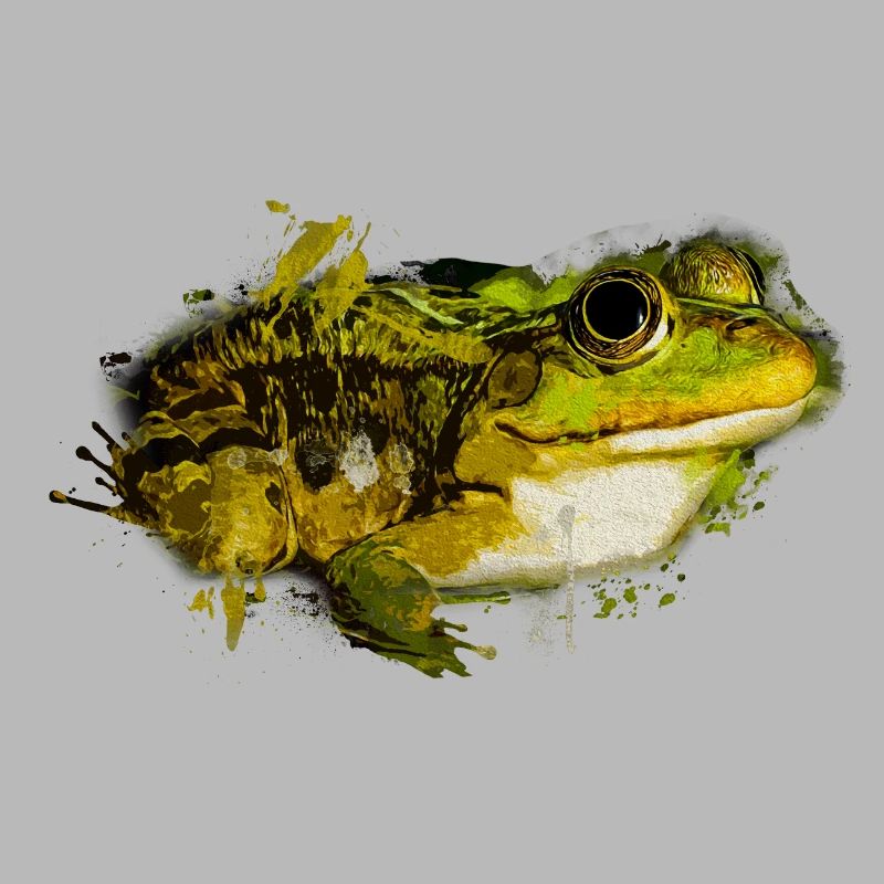 Frogs, Toad, Tree Frog, Frog