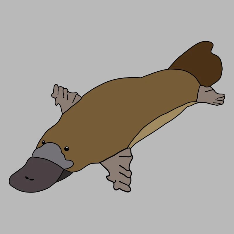 Ornithorynque