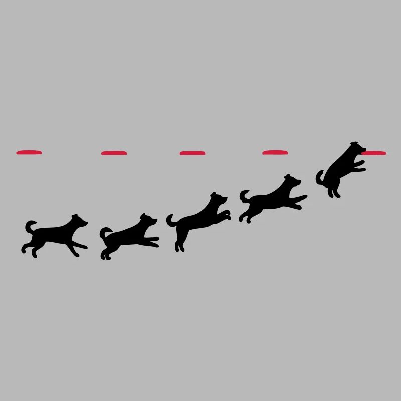 Frisbee dog