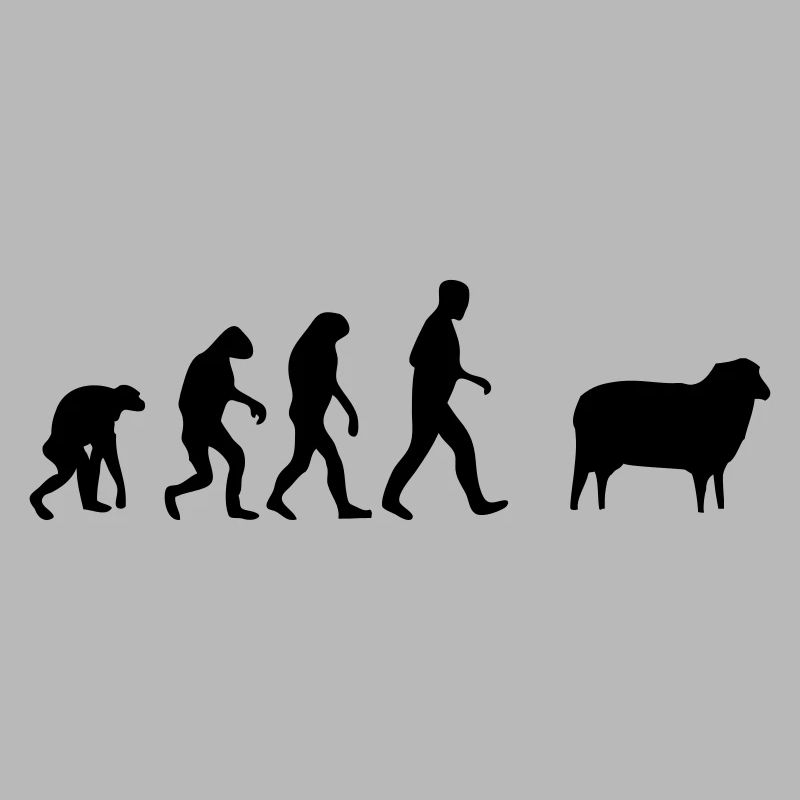 schaf evolution