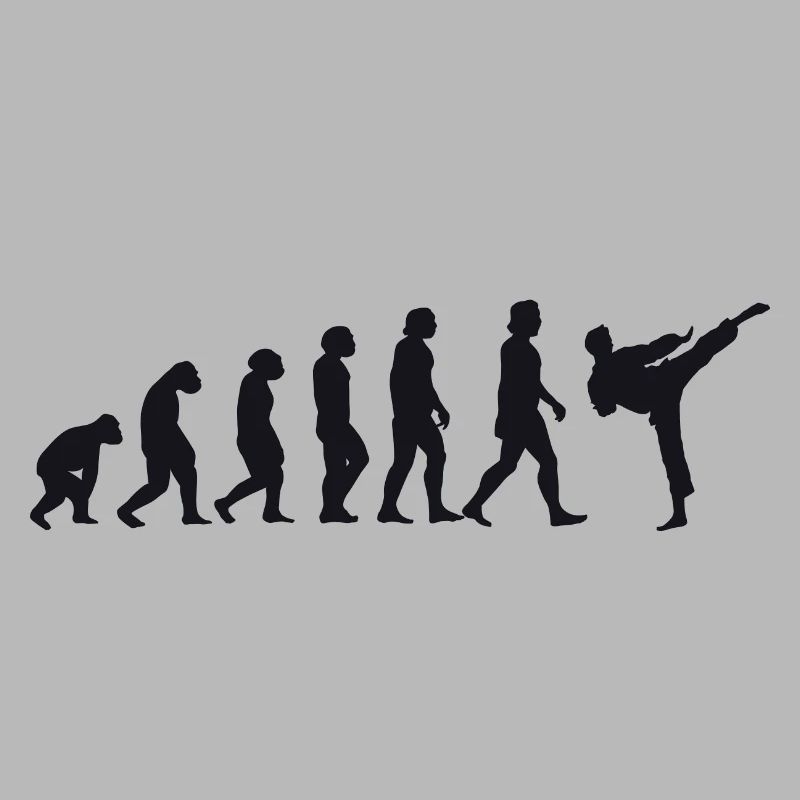 Évolution du karaté