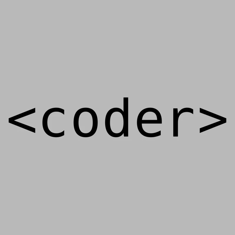 Développeur / Programmeur
