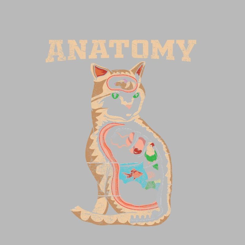 Chats anatomie chatons tomcat domestique kitty