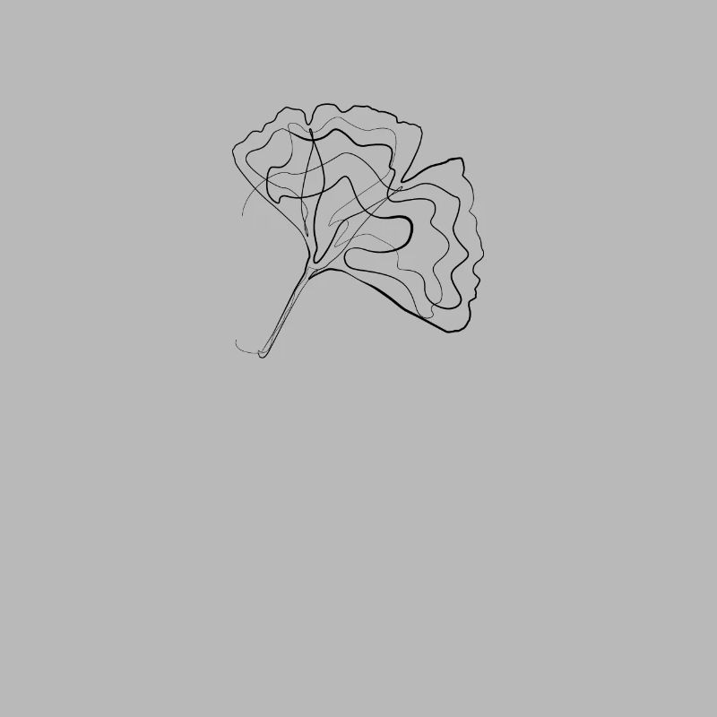 Gingko tree leaf - one line drawing
