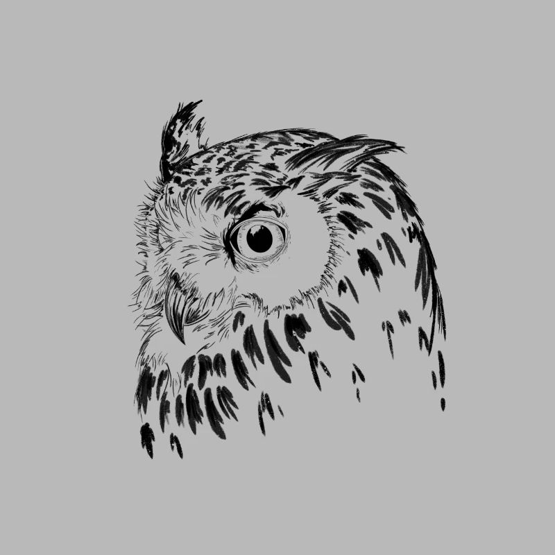 Eagle owl
