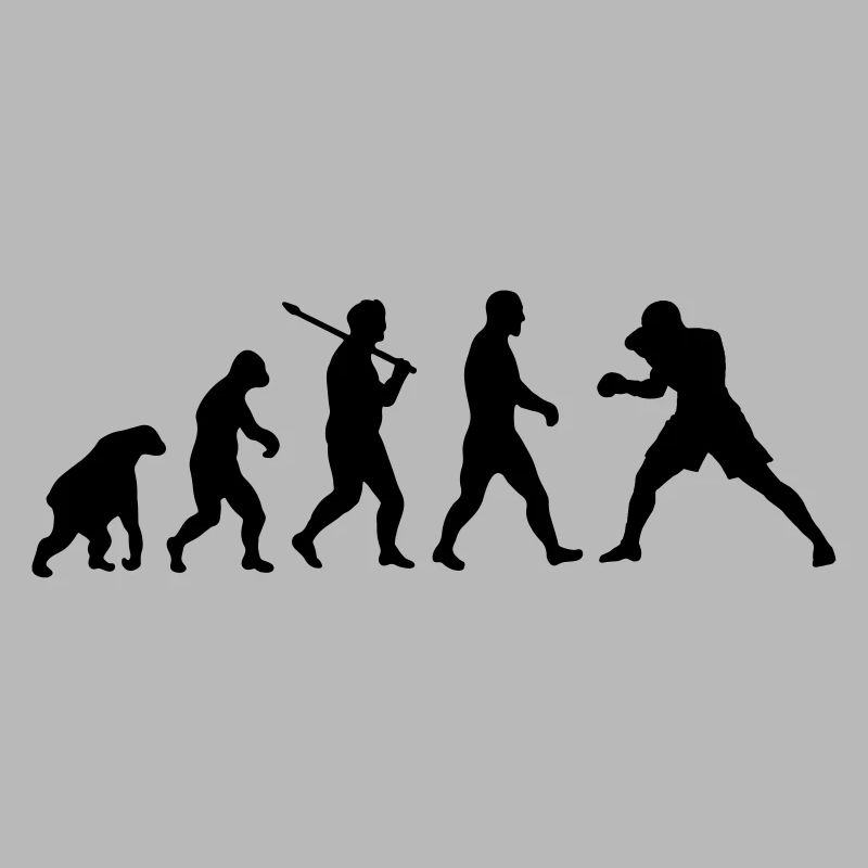 Evolution: Boxing