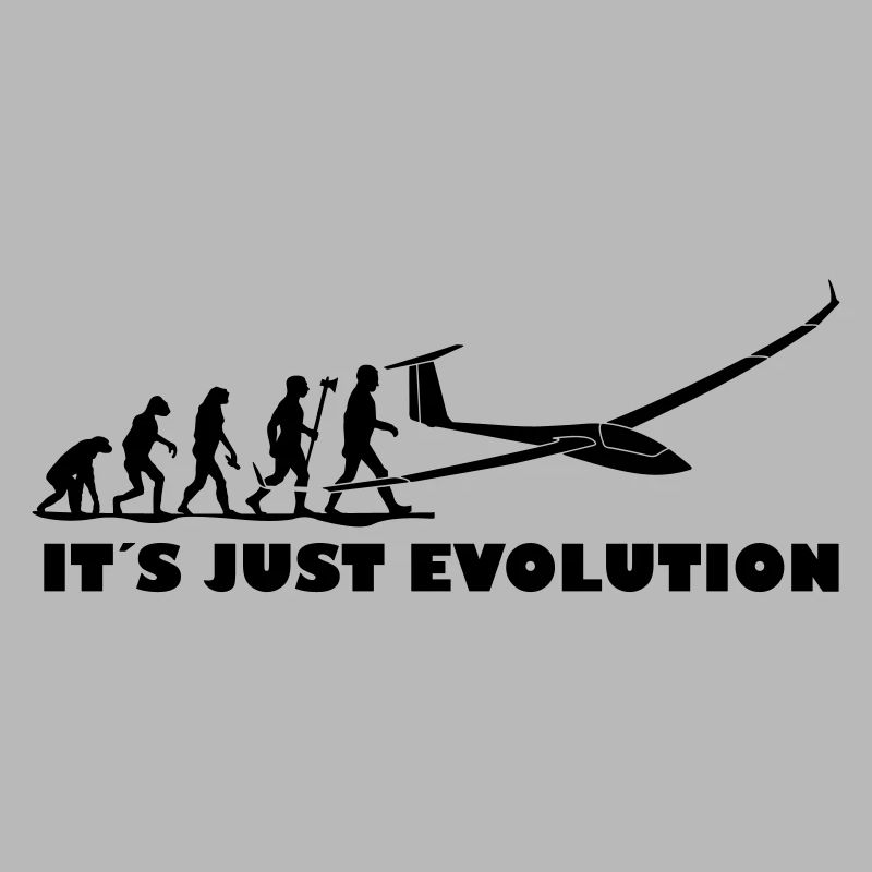 evolution gliding glider pilot