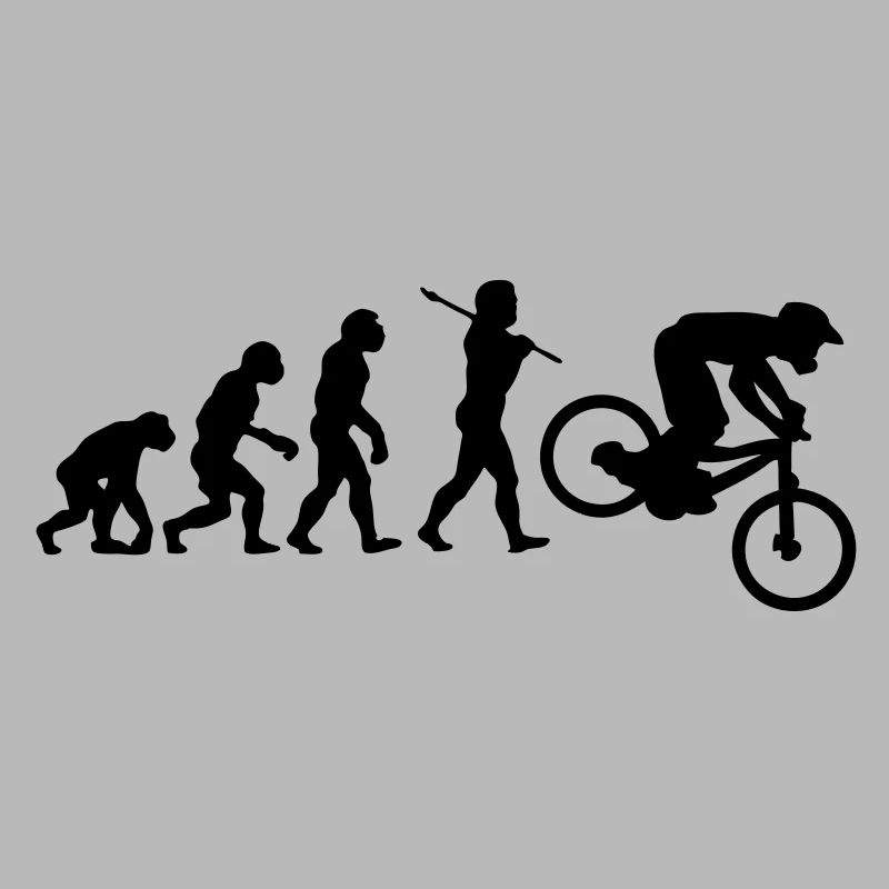 NEW MTB DOWNHILL MOUNTAIN BIKE EVOLUTION