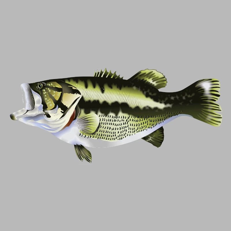 fishing predatory fish pikeperch perch pike
