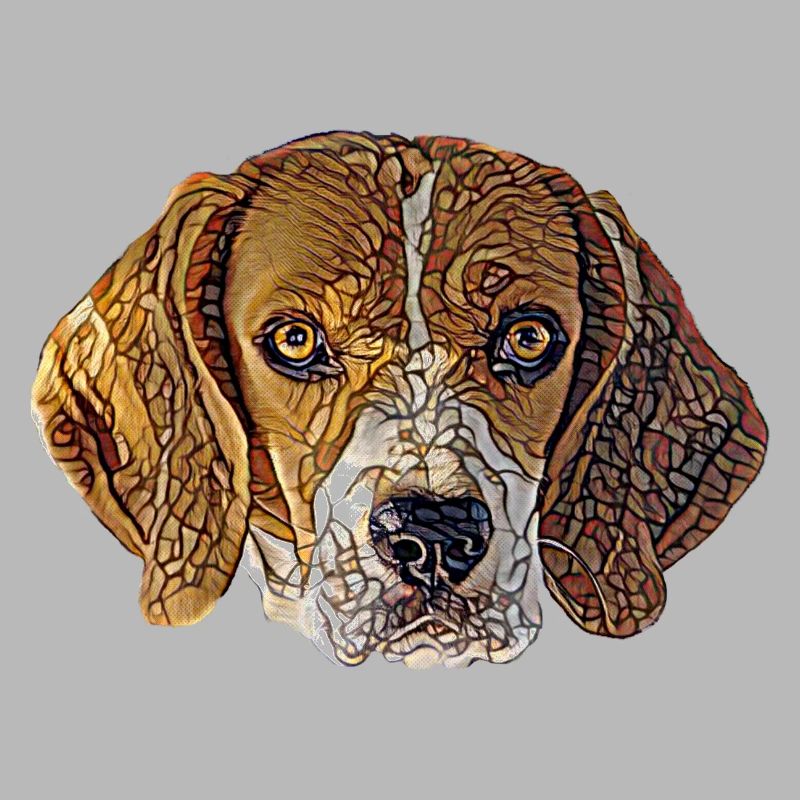 Visage de Beagle