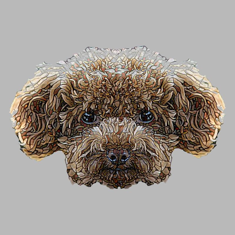 Visage de caniche jouet