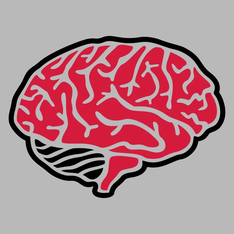Cerveau