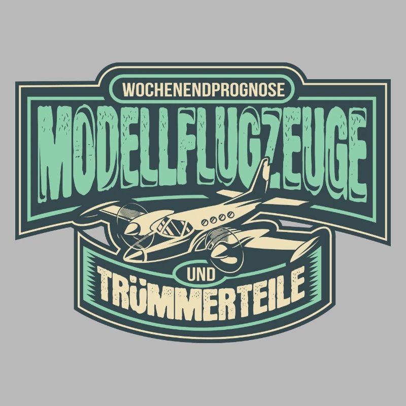 Model aircraft RC Model Model Model Pilot