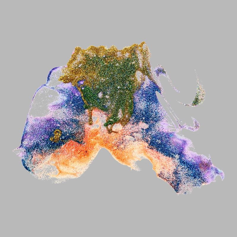 Colorfish