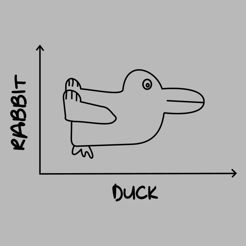 Duck'n Rabbit
