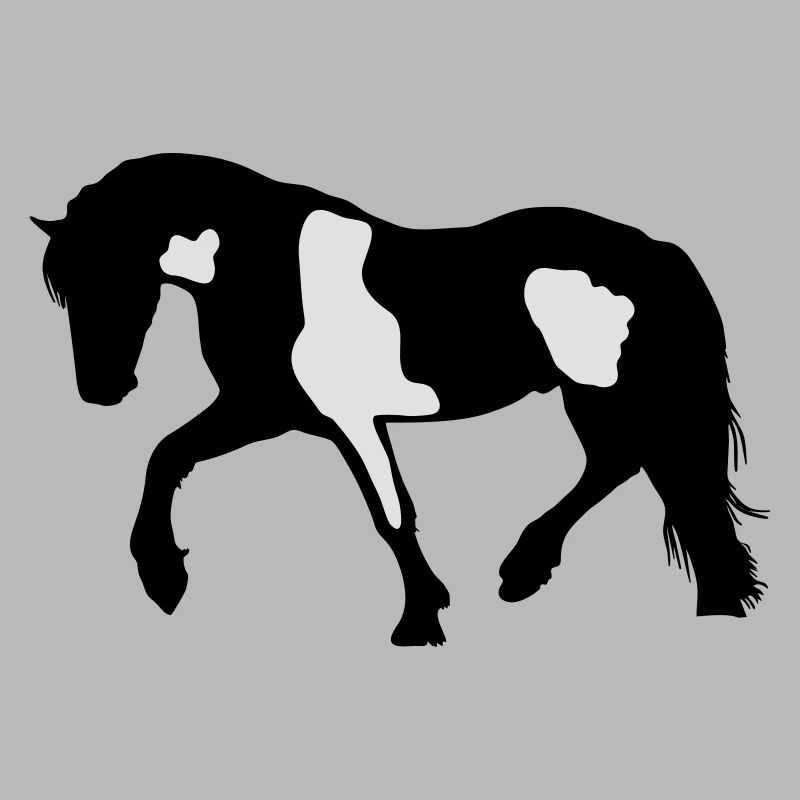 Tinker, Pinto, Barock Pinto, Schecke Silhouette