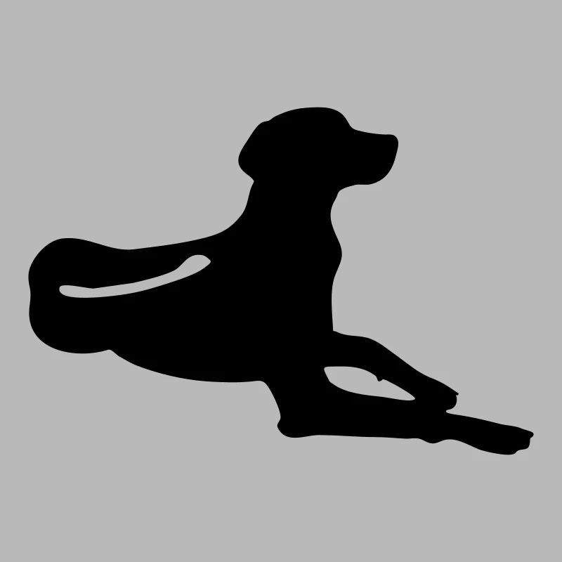 Rhodesian Ridgeback Liegend
