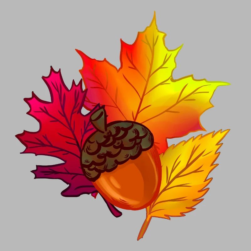 Feuillage d'automne feuilles forêt gland