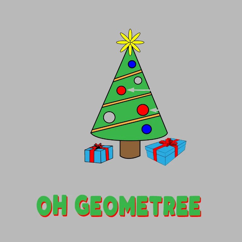 Professeur de maths geometree noel