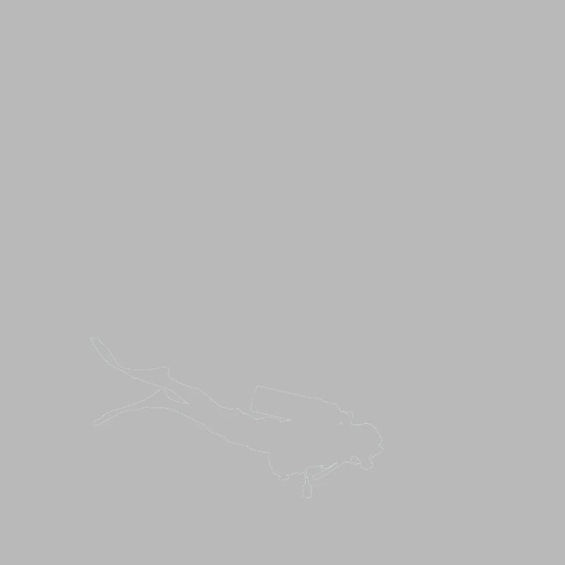 Diving diver sea fish
