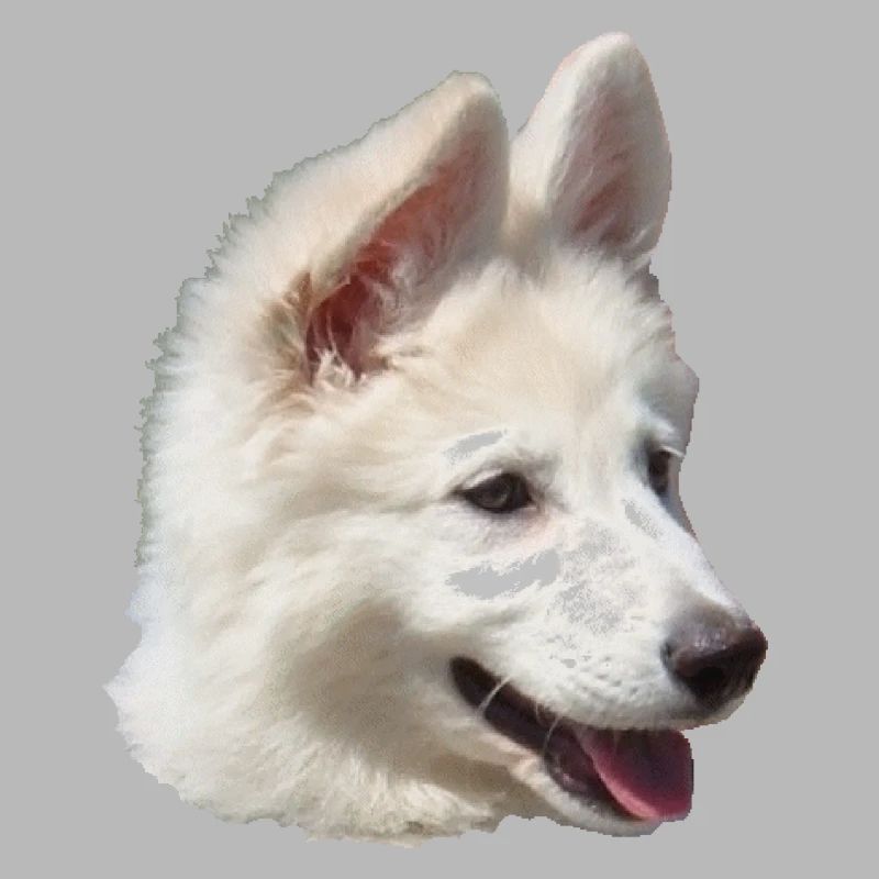 Chiot