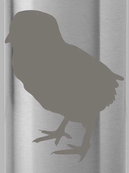chick