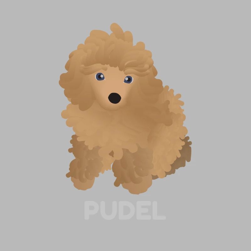 Chiot Caniche