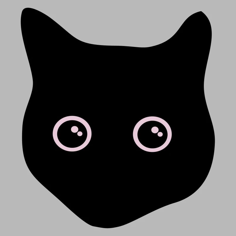 black cat, cat eyes - chat noir
